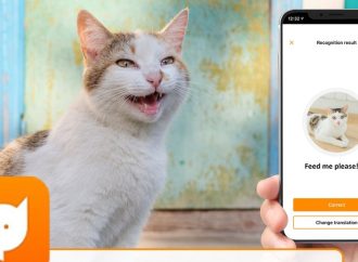 La app que traduce los maullidos de tu gato