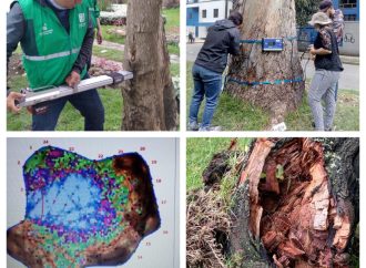 Jardín el Botánico de Bogotá utiliza tecnología avanzada para el monitoreo de la salud de los árboles